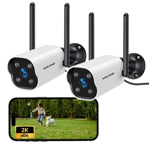 Wolfang telecamera fi - telecamera, wi